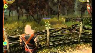 Wiedźmin Gameplay