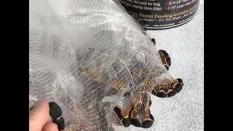 Black Pearl Cast Nets New 2020  Invisible Leadline "Invi Series" by Capt. Rhett Morris