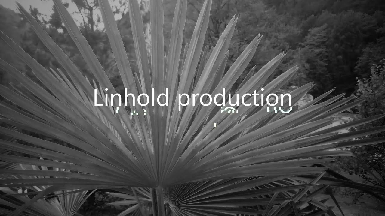 Linhold production-Там