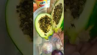 GREEN PAPAYA  papayaseeds greenpapaya papaya seeds  youtubeshorts shortvideo