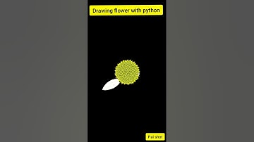 Draw a simple flower with python turtle#shorts😍😍