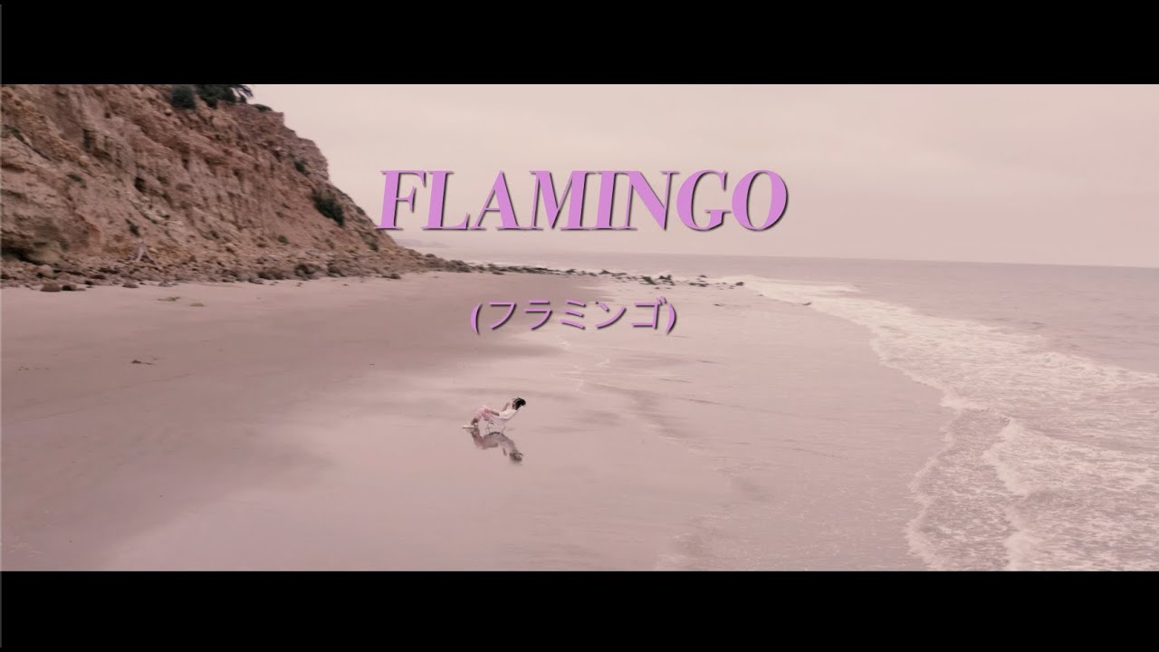 Watch MiSHNRZ - Flamingo (Official Music Video) on YouTube Watch MiSHNRZ - Flamingo (Official Music Video) on YouTube