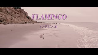 MiSHNRZ - Flamingo