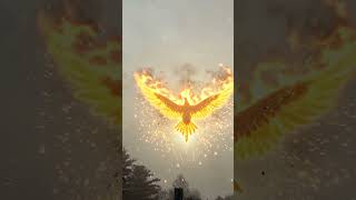 Rise of the Phoenix (photo by Jim Gaven, animation by AI)