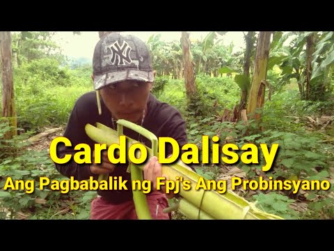 Cardo Dalisay Ang Pagbabalik ng Fpj&rsquo;s Ang  Probinsyano