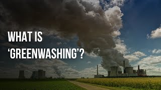 What is ‘Greenwashing’? screenshot 3