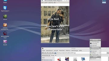 Lubuntu use swf files