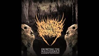 Maximize Bestiality - Excreting The Malformed [Full-EP] (2013)