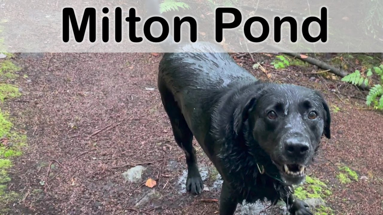 Easy Hikes in Vermont:  Milton Pond