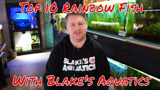 Top 10 Rainbow Fish with Blake's Aquatics