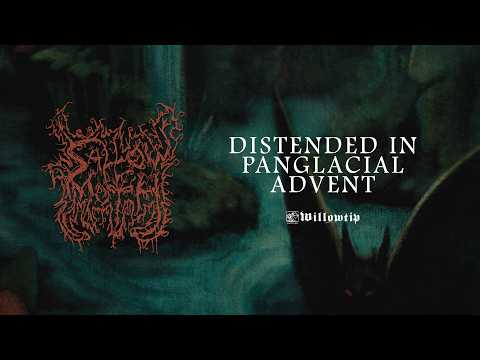 Sallow Moth "Distended in Panglacial Advent" - Official Track