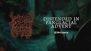 Sallow Moth "Distended in Panglacial Advent" - Official Track