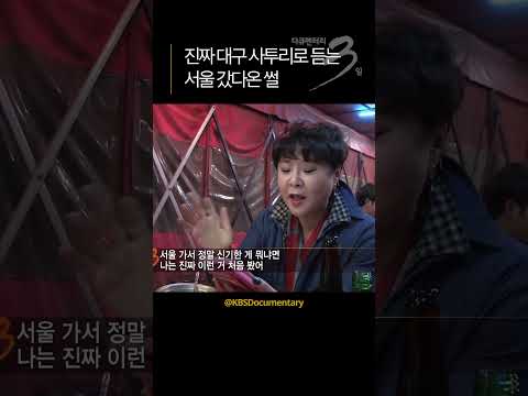 진짜⭐대구 사투리⭐로 들려주는 서울 경복궁 다녀온 썰😂| 다큐3일 | KBS 2015.11.22