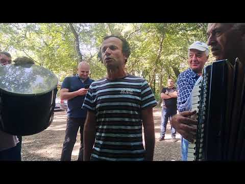 Tamarasheni. თამარაშენი