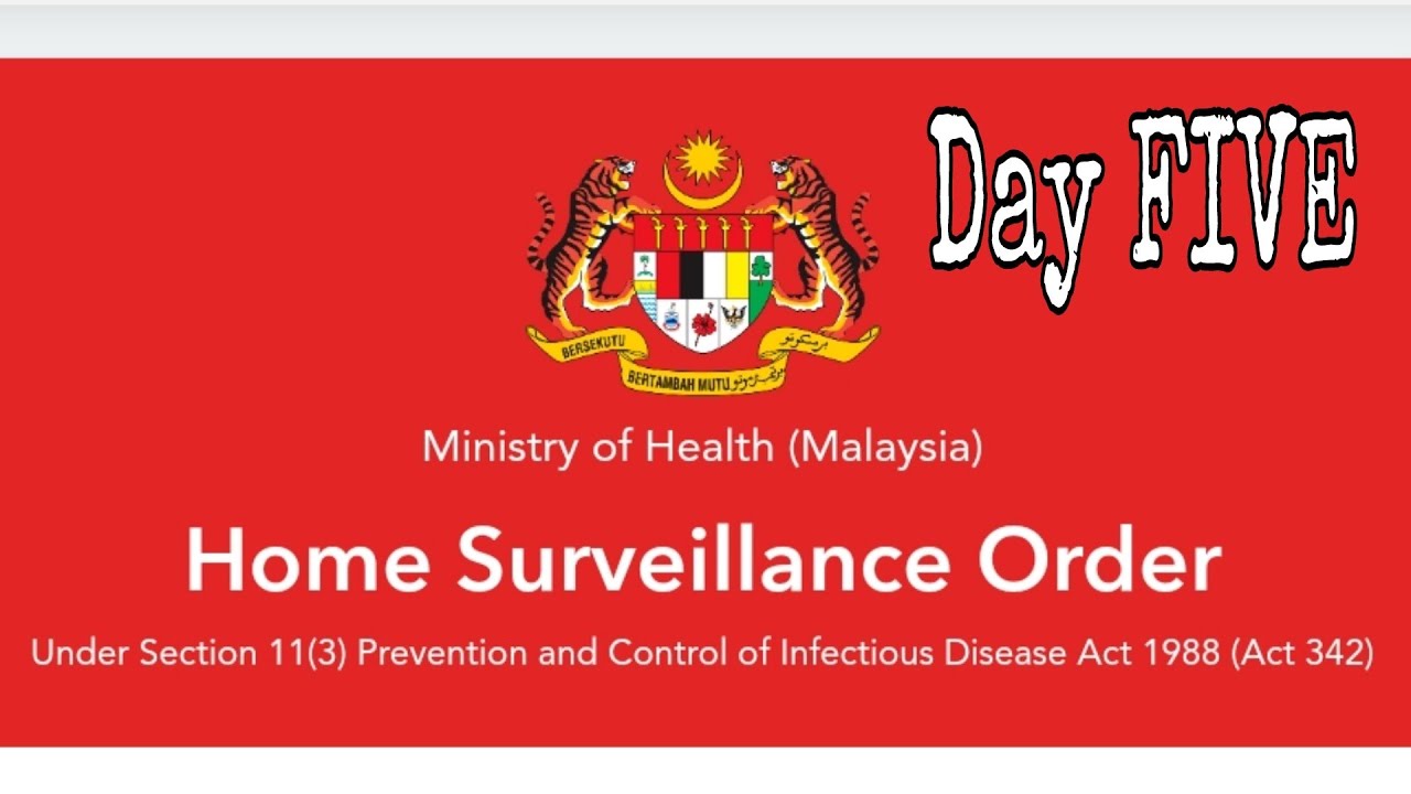 Home Surveillance Order Day 5th YouTube