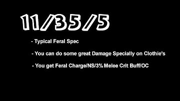 Druid 1.12.1 PvP Spec