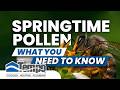 Spring Pollen Warning for Your HVAC System