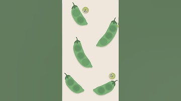 Satisfying Mobile Games 2025 : Satisgame LEVEL 60 game on IOS #satisgame #satisfying #shorts