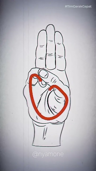 makna dibalik salam 3 jari ganjar-mahfud.