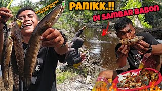 Download Lagu OJO IRI YO BOS😂 GAK PAKEK LAMA,UMPAN JATUH LANGSUNG DI SAMBAR‼️PESTA STRIKE LANGSUNG OLAH DI TEMPAT MP3