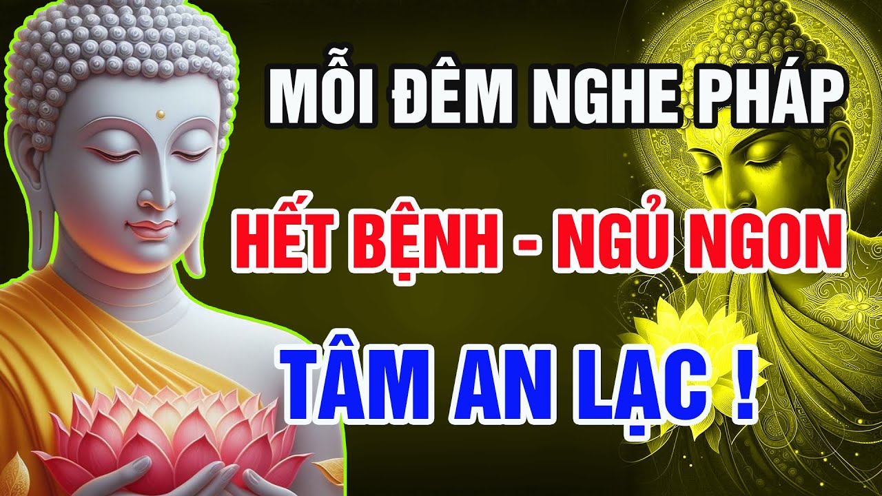 Mỗi Đêm Nghe Pháp Trước Khi Ngủ – Hết Bệnh, Hết Khổ, Ngủ Ngon, Tâm An Lạc | Hơi Thở Phật Pháp