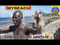 My Beach Review East Prospect St Thomas Jamaica mp3