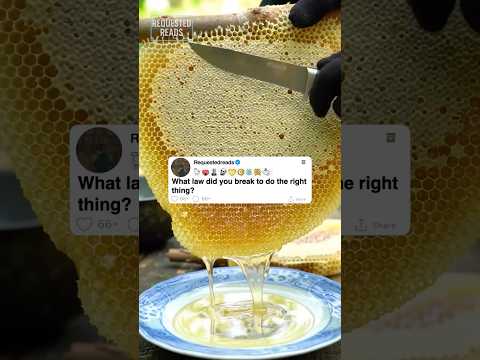 What Law Did You Break To Do The Right Thing