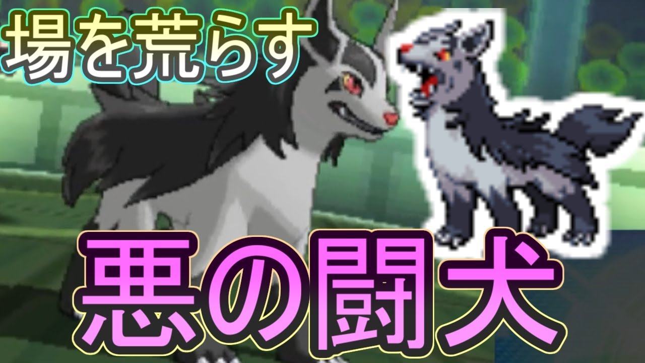 ポケモンｕｓｍ 悪の闘犬 グラエナがフィールドを荒らしまくり その驚異の技構成とは Youtube