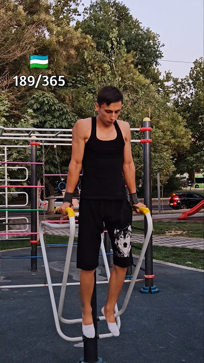 189/365 #workout #calisthenics #planche #pushups #pullups #dips  #garizon #homeworkout #handstand