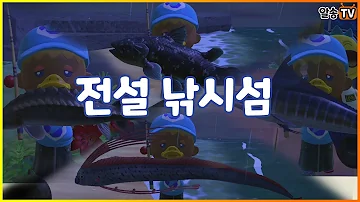 모여봐요 동물의 숲 실러캔스 잡는 꿀팁