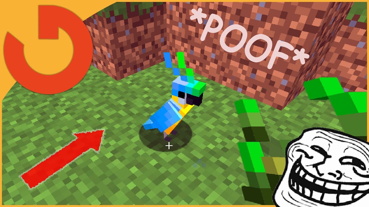 IF YOU FEED PARROT SEEDS IT WILL BURST! (Minecraft Trolling) - YouTube