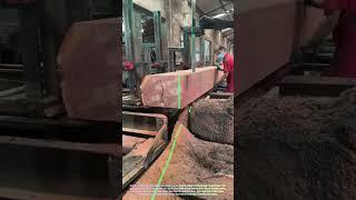 Cutting Raw Logs in Action 🪵 #LogCutting #LumberTech #SawMill