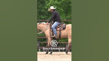 How To Teach a Horse To Work The Flag Part 2