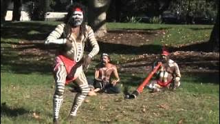Kangaroo Dance