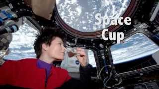 ISS: Science in a Cup