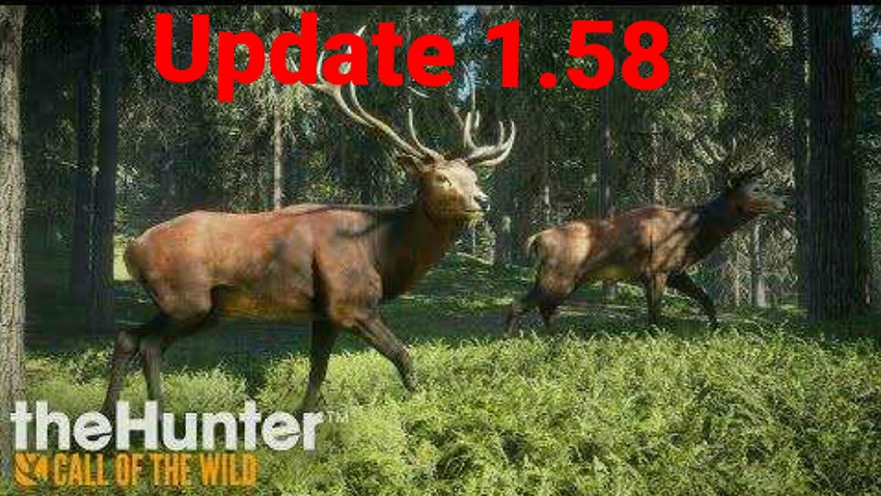 The Hunter Call Of The Wild Update
