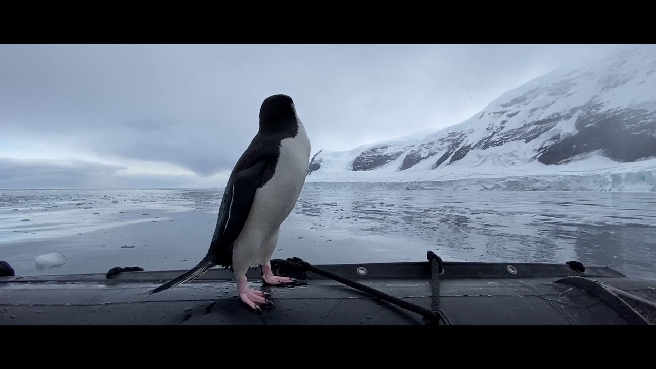 ⁣Expedition Cruise Antarctica on 'In the Wake of Scott and Shackleton' with Heritage Expeditions
