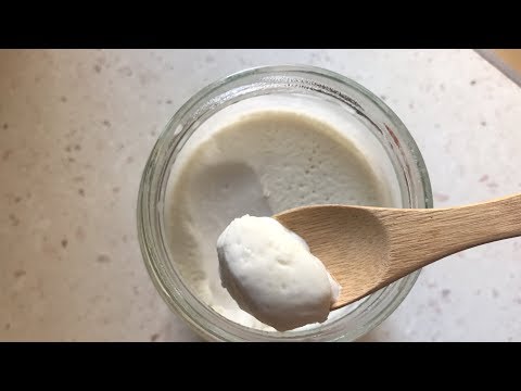 Come fare Vegan yogurt probiotico | Vegan yOGURT
