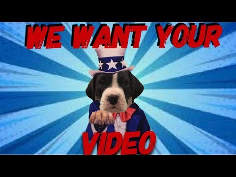 Video: Boxer Dogs-da Kardiomiopatiya