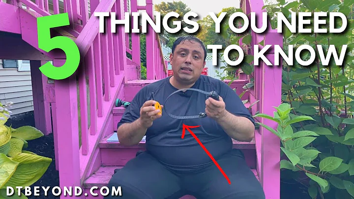 5 Things You NEED To Know Before Getting An E-COLLAR!