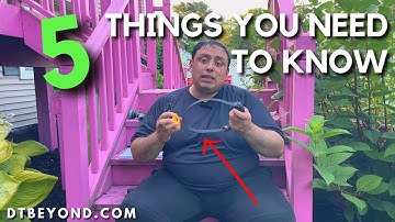 5 Things You NEED To Know Before Getting An E-COLLAR!