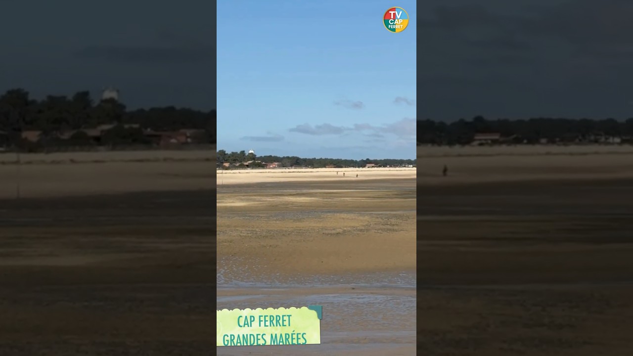 YouTube player