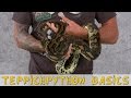 Reptil tv  folge 95  teppichpython  carpet python basics