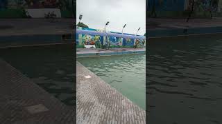 Relaxing Poolside Views | Beautiful Swimming Pool and Scenic Landscape 🌊🏖️ #shorts #youtubeshorts