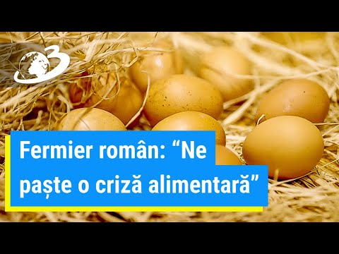 Video: Merită Să Cumpărați Proprietăți Imobiliare într-o Criză