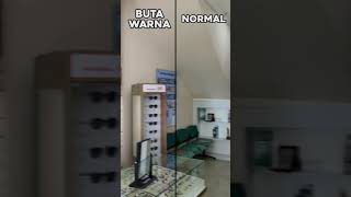 Simulasi Penglihatan Orang Buta Warna - VIO Optical Clinic screenshot 1