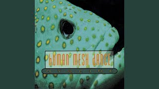 Download lagu Dahlia