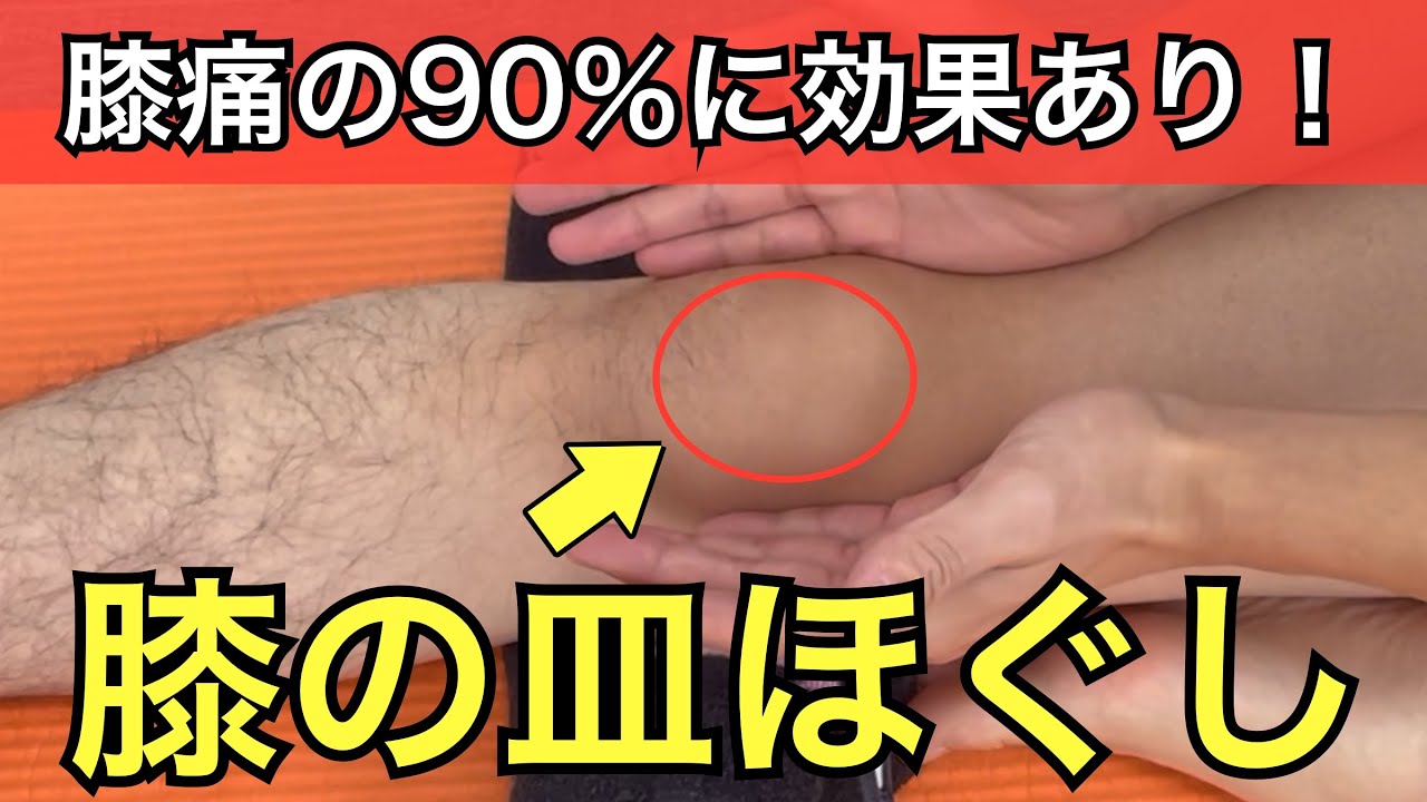 膝のお皿動きますか？膝の痛みを治すなら膝蓋骨を柔らかくしよう！【膝蓋骨のマッサージ＆ストレッチ】