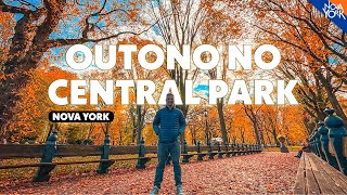 As cores do OUTONO NO CENTRAL PARK em Nova York