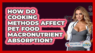 How Do Cooking Methods Affect Pet Food Macronutrient Absorption? - Ask A Pet Vet